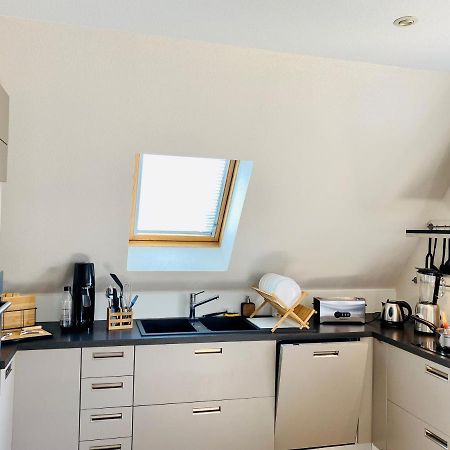 L'Envolee Alsacienne - Magnifique Appartement En Duplex オストハイム エクステリア 写真
