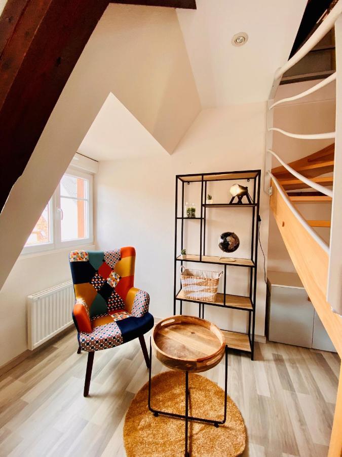 L'Envolee Alsacienne - Magnifique Appartement En Duplex オストハイム エクステリア 写真
