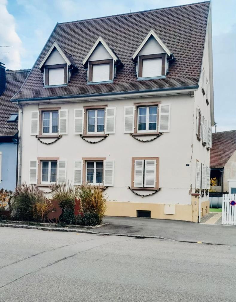 L'Envolee Alsacienne - Magnifique Appartement En Duplex オストハイム エクステリア 写真