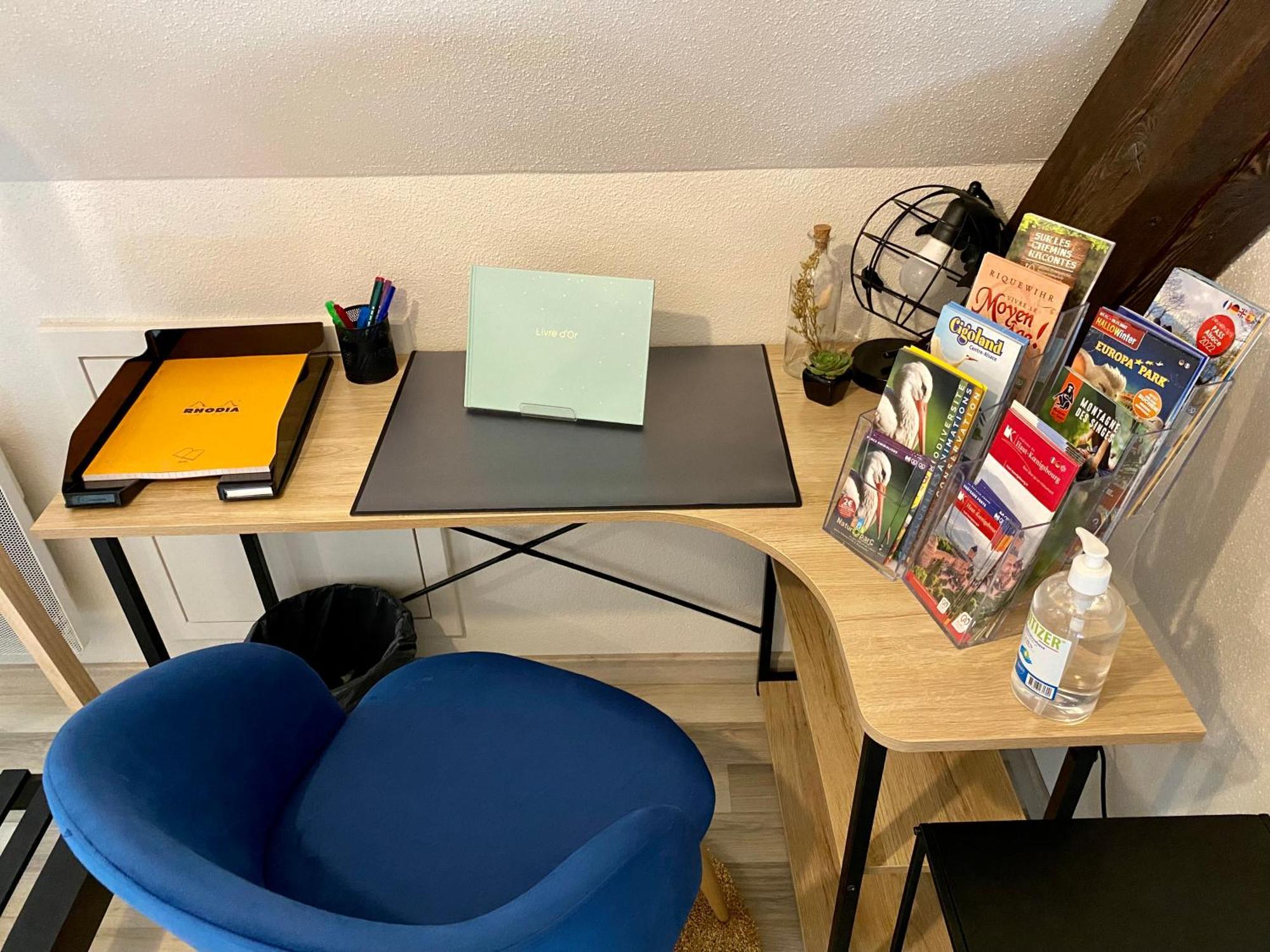 L'Envolee Alsacienne - Magnifique Appartement En Duplex オストハイム エクステリア 写真